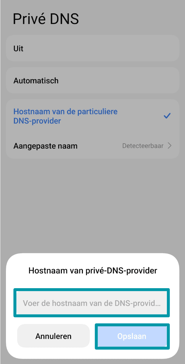 Enter The Dns Provider Settings Pl