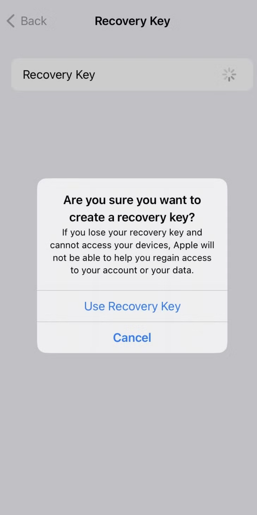 Screenshot of a confirmation pop-up on iOS that asks, ‘Are you sure you want to create a recovery key?’