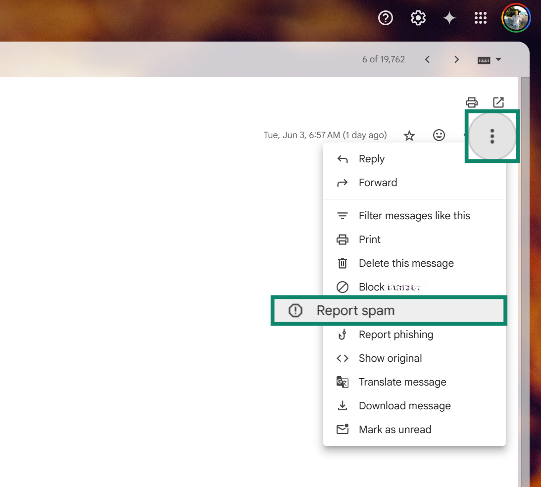 Gmail's report spam options.