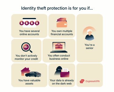 Graphical breakdown of different user sets who need identity theft protection.