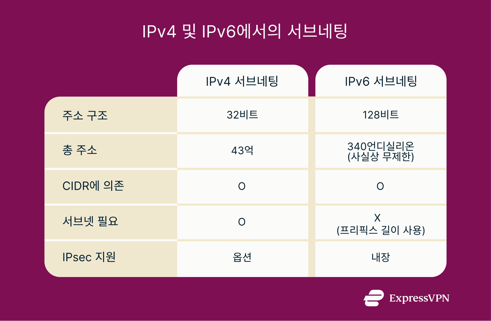 Infographic detailing how subnetting works in IPv4 and IPv6.