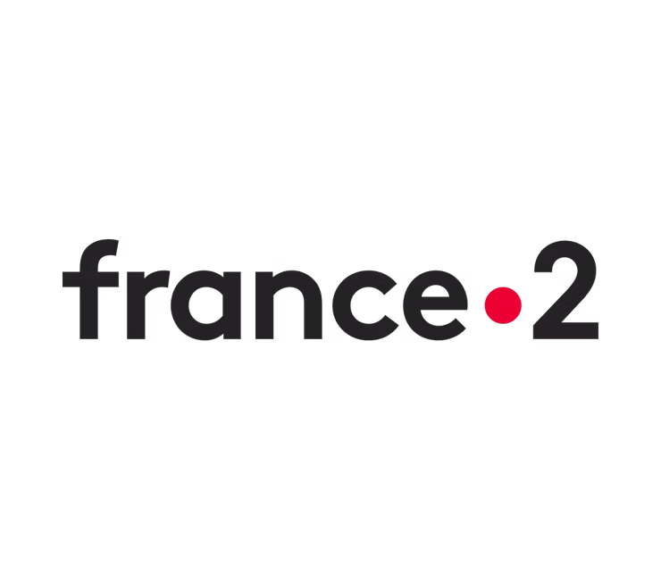 France 2 channel logo.