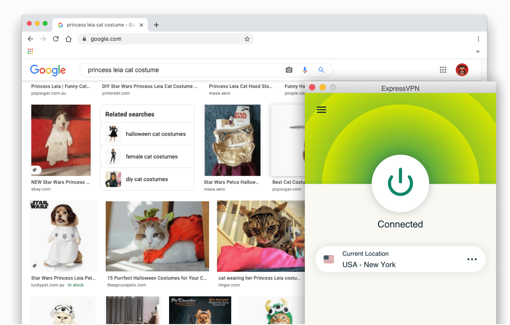 Sökresultat från Google: Princess Leia cat costume med ExpressVPN aktiverat.