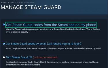 Steam's Steam Guard options.