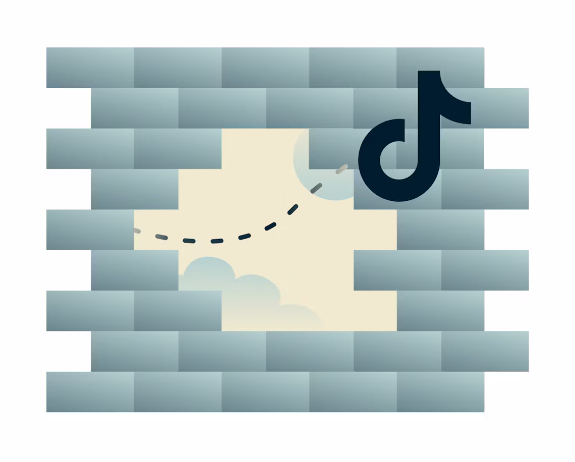 Buka blokir TikTok dengan VPN