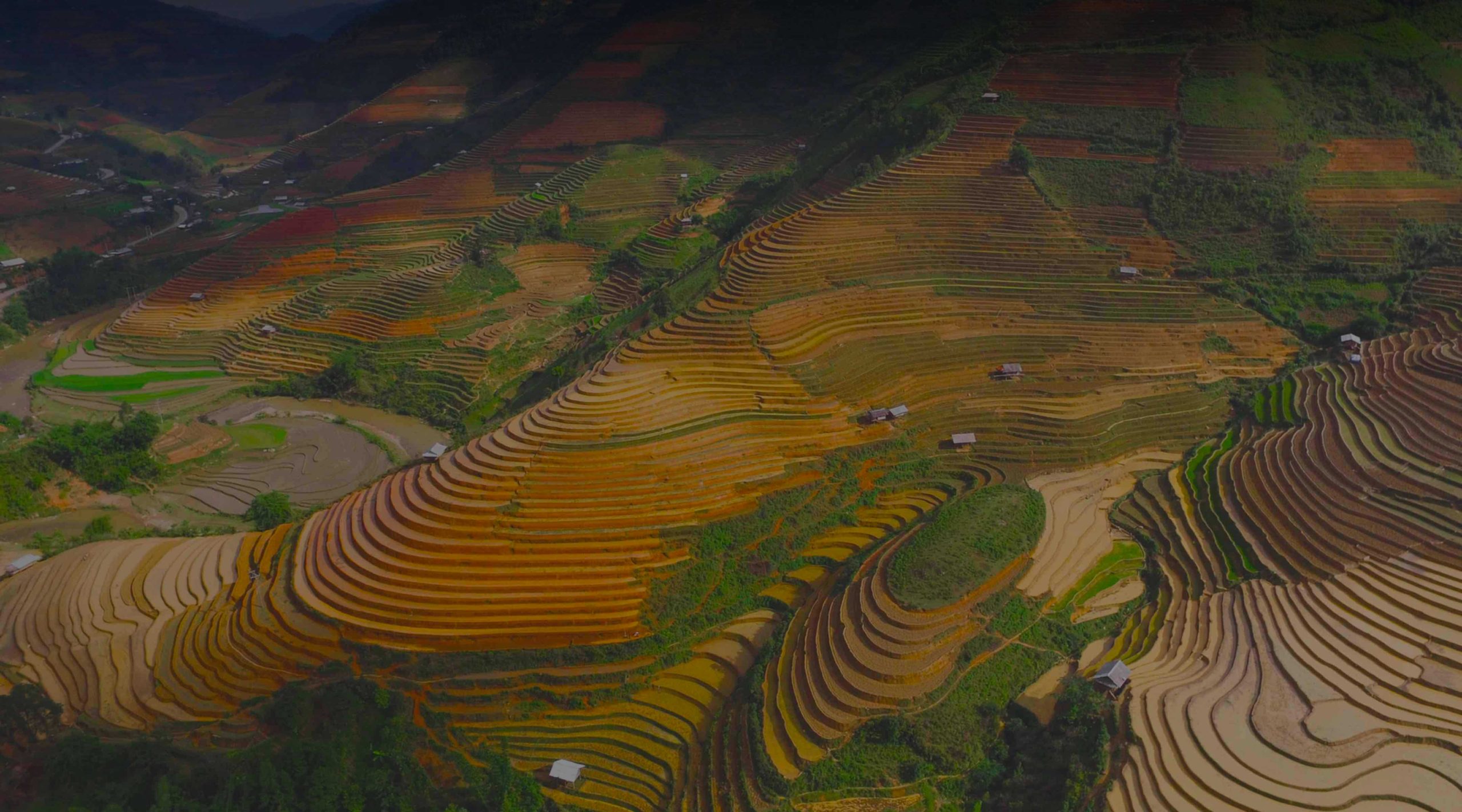 2025年ベトナム対応おすすめVPN