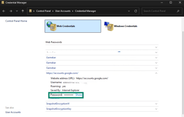 Windows Credential Manager showing account credentials with Password highlighted