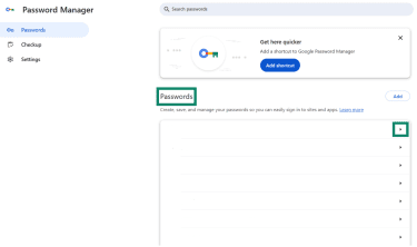 A list of saved passwords in Google Chrome browser.