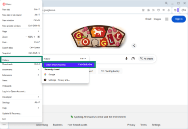 Opera open on Windows with settings menu showing and History and Clear browsing data options highlighted