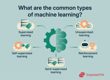 Infographic showing the most common types of machine learning