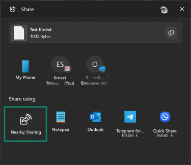 Windows 11 file explorer's sharing interface.