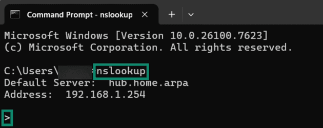 Entering nslookup's interactive mode.