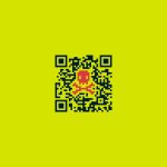 What is a QR Code?