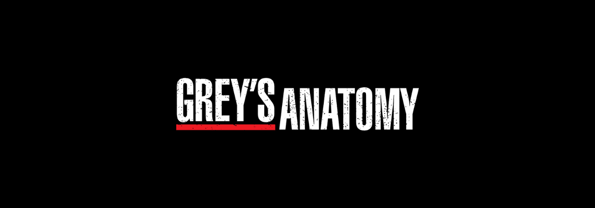 Onde assistir a 20ª temporada de A Anatomia de Grey