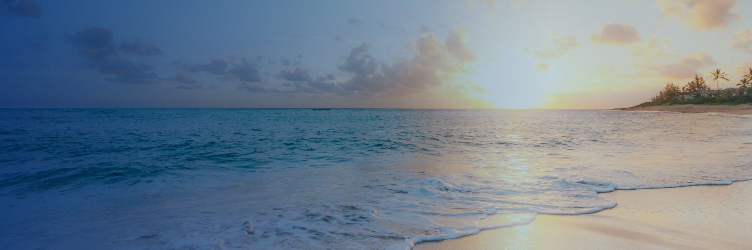 Watch Too Hot To Handle